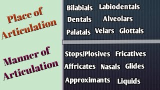 Place and Manner of Articulation in UrduHindi Articulatory Phonetics Speech Organs Speech Sounds [upl. by Gonagle]