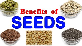 Top 5 Benefits and uses of Seeds in Life I Pumkin Sunflower Chia Aliv Flax Watermelon seeds [upl. by Eniledgam431]