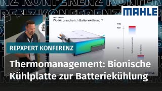 Thermomanagement Bionische Kühlplatte zur Batteriekühlung  MAHLE  Schaeffler REPXPERT Konferenz [upl. by Colt]