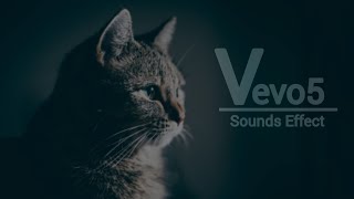 Disneys Cat Yowls Sound Effect [upl. by Kuhn]