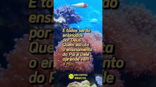 João 64445 motivacional frasesdabiblia fe shortsfeed short shorts [upl. by Wyatt]