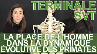 La place de lHomme dans la dynamique évolutive des Primates  SVT terminale  Les Bons Profs [upl. by Dayle]