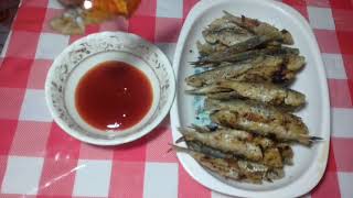 FRIED Tawilissardinella [upl. by Hoenack]