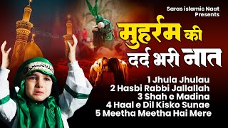 😭मुहर्रम दर्द भरी नात  Dard Bhari Naat  😥Muharram New Naat  Best Emotional Naat  Hits Naat 2024 [upl. by Tedder]