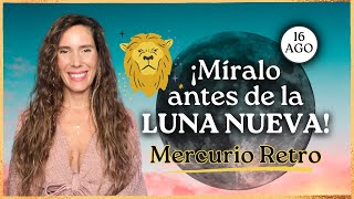 🌙 LUNA NUEVA 2023 LEO 🦁 16 Agosto 2023 ¡PERMÍTETE BRILLAR ✨ Itziar Psicóloga [upl. by Harewood]