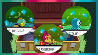 LIVE  Complete Shiny Sinnoh Starters in Pokémon Platinum [upl. by Wengert]