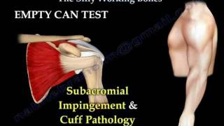 Shoulder Examinationtests  Everything You Need To Know  Dr Nabil Ebraheim [upl. by Devol]