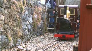 Half an Hour at 29  Conwy Valley Railway Museum Betws y Coed  Douglas loco [upl. by Edan184]