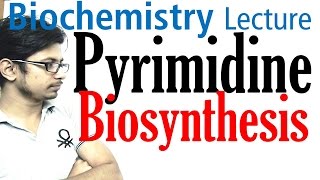 Pyrimidine biosynthesis [upl. by Attennyl]