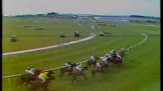 1988 Supreme Novices Hurdle Vagador [upl. by Ialohcin]