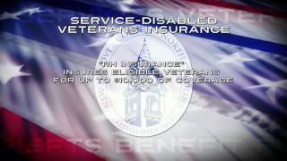 VA Benefits  SDVI [upl. by Demakis722]