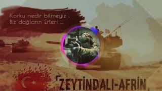 Zeytin Dalı Afrin REMİX SONG 2 [upl. by Gimble]