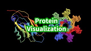 Visualize Protein Structures [upl. by Nahtnoj533]