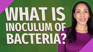 What is inoculum of bacteria [upl. by Nilak835]