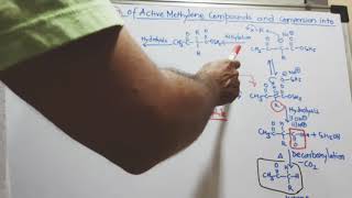 BSc Chemistry 2nd year Semester 3  Active Methylene Compounds  Organic Chemistry [upl. by Hilar]