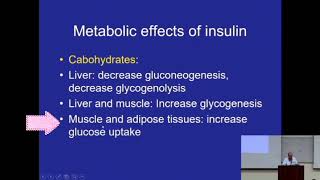 Insulin Effects on Carbohydrate amp Lipid Metabolism Metabolism Made Easy [upl. by Nerrad]