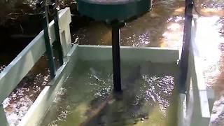 Vertical turbine hydro generator system Low rpm permanent magnet generator home made [upl. by Raphael]