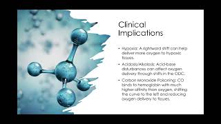 The Bohr Effect and the Oxygen Dissociation  Curve Biology Unit 2 [upl. by Sessler]