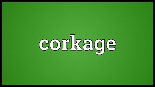 Corkage Meaning [upl. by Blinni]