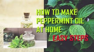 How to make peppermint oil from peppermint leaves  Easy step  DIY [upl. by Marlea]