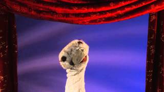 Folkmanis® Ostrich Stage Puppet Demo [upl. by Dnanidref]