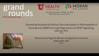 Extending Peripheral Retinal Vascularization in ROP Reenvisioning the Moran Surgical Curriculum [upl. by Aklam383]