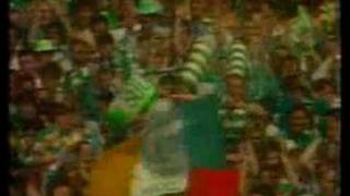 wolfetones at celtic park [upl. by Jenifer874]