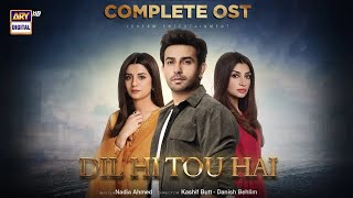 Dil Hi Tou Hai OST 🎶  Hassan Hayat Khan  Yashal Shahid  ARY Digital [upl. by Benil285]