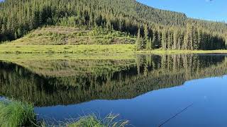 Sibbald Lake Fishing [upl. by Skcirdnek]