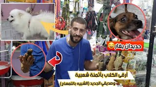 كلاب راقية و أتمنة شعبية عند عاشق الكلاب 🐕🐕‍🦺🦮شبيه التمساح الجديد [upl. by Errehs594]