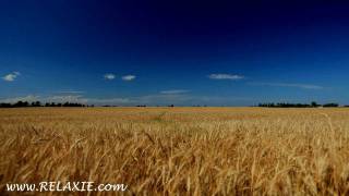 60minutes2relax  Golden Wheat Field [upl. by Kauffman]