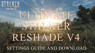 🌟Best Reshade for Stalker Anomaly with Ray Tracing 2023 [upl. by Xella]