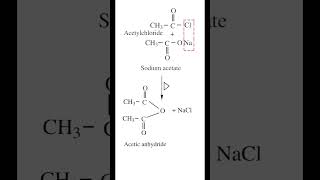 Preparation of Acetic anhydride  Acetyl Chloride  Sodium Acetate  organicchemistry  neet2023 [upl. by Aerdnas206]