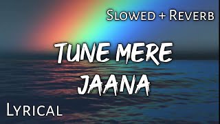 Tune Mere Jaana   Slowed  Reverb  Lyrics  Use Headphones 🎧🎧 [upl. by Edmonds]