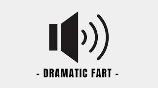 Dramatic Fart Sound Effect [upl. by Gillie]