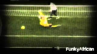 Samir Nasri Top 10 Goals [upl. by Scrogan]