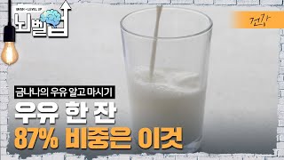 우리가 몰랐던 우유의 진실 어떤 우유를 드시고 있나요 우유의 87는 이것으로 구성되어 나머지 13는 그 외 영양성분│ 클래스e │ 뇌벨업 [upl. by Zalea]