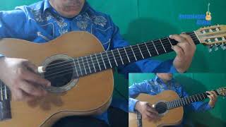 Allá en el rancho grande  Cover requinto y guitarra Ranchera con guitarras [upl. by Sirovat232]