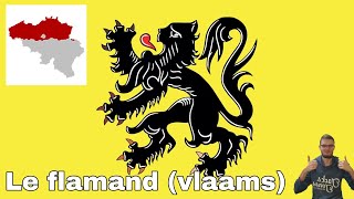 le flamand vlaams [upl. by Gardia]