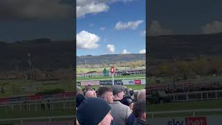 Marine Nationale  Supreme Novice hurdle winner 2023 [upl. by Benedicta]