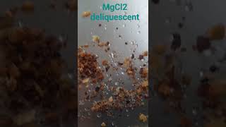 MgCl2 Deliquescent substance present in common salt NaCl education chemistry [upl. by Sivrup]