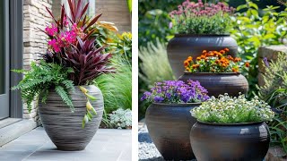 outdoor decor ideas with different shape and color pots plants [upl. by Airotahs]