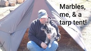 Tarp tent 2 variations [upl. by Bywaters851]