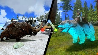 QUAL É O MELHOR RINOCERONTE LANOSO VS URSO TERRÍVEL  ARK MOBILE [upl. by Elle]