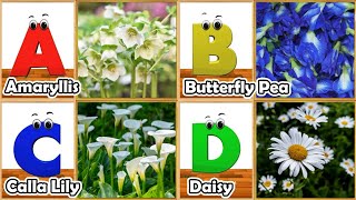 Flowers Alphabet Song  Flowers ABC Song  A to Z Flowers Names  Phonics for Kids [upl. by Hadwyn]