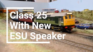 New ESU Speaker In A Heljan Class 25 With Jamie Goodman Sound [upl. by Rj110]