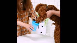 Dog Paw Cleaner Ad [upl. by Granniah]