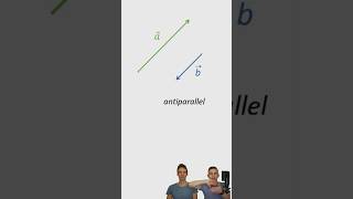 Kollineare Vektoren  parallel und antiparallel anschaulich erklärt [upl. by Dorinda424]