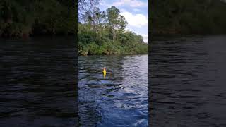 fishing trout troutfishing parati trucha adventure [upl. by Marchall]