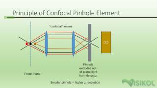 Confocal Microscopy Tutorial [upl. by Edniya]